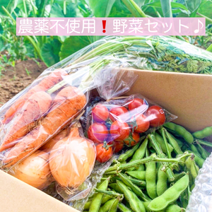 【野菜の玉手箱】＼1日10箱だけ！／大満足な山盛り枝豆と特製野菜セット
