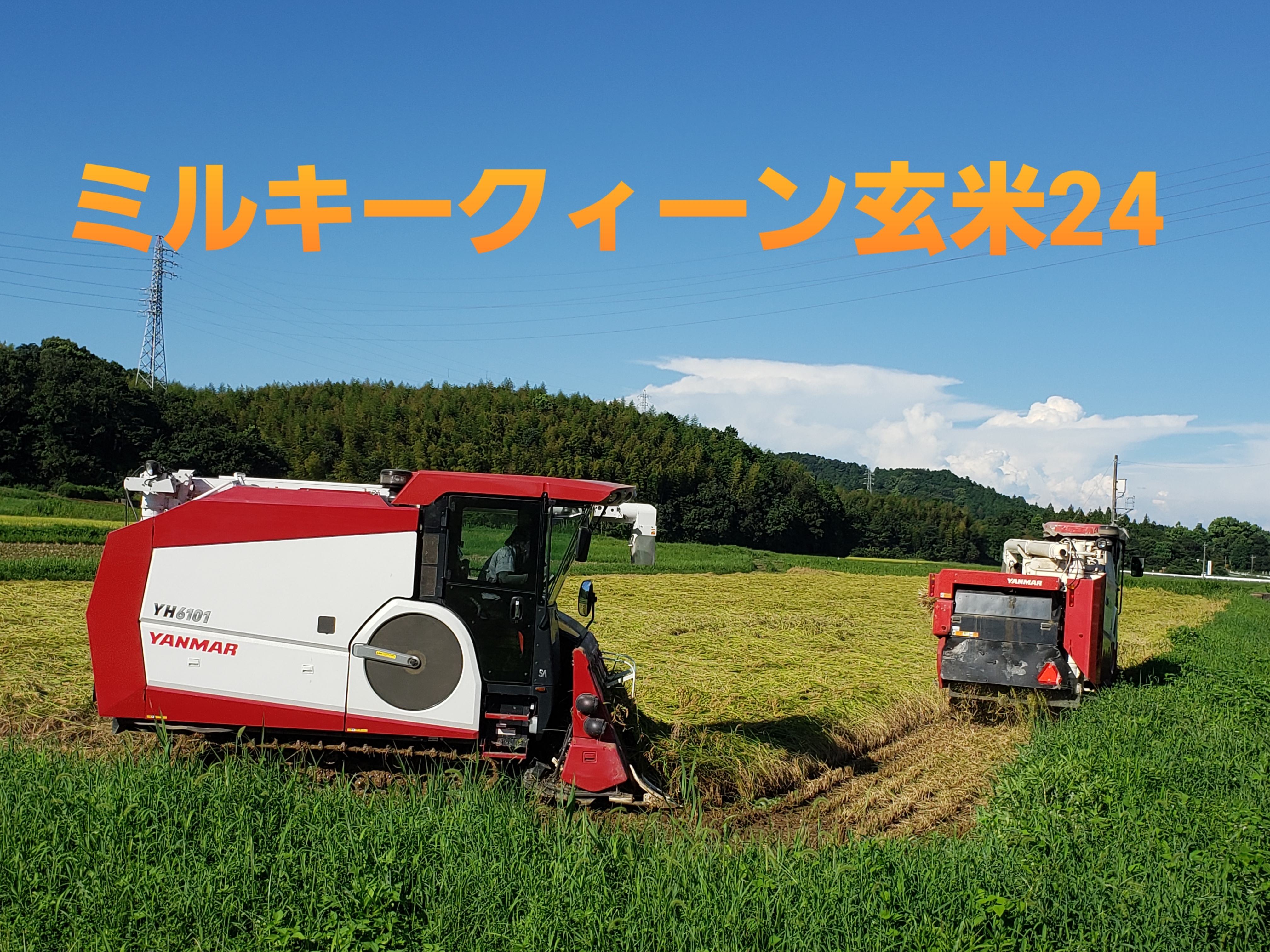 メーカー直売】 完全無農薬栽培 みさと様ご専用 R3新米 愛媛県産ヒノヒカリ 稲架掛け米20キロ - 米 - www.smithsfalls.ca メーカー直売】 完全無農薬栽培 みさと様ご専用 R3新米 愛媛県産ヒノヒカリ 稲架掛け米20キロ - 米 - www.smithsfalls.ca