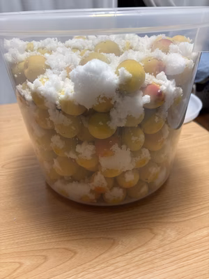 みんなの投稿の画像