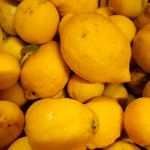 訳ありレモン4㌔　ワックス不使用　　皮まで安全安心