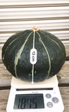【超希少】一果採り！見栄えもして美味しい青森県産かぼちゃ