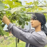 岡田和也