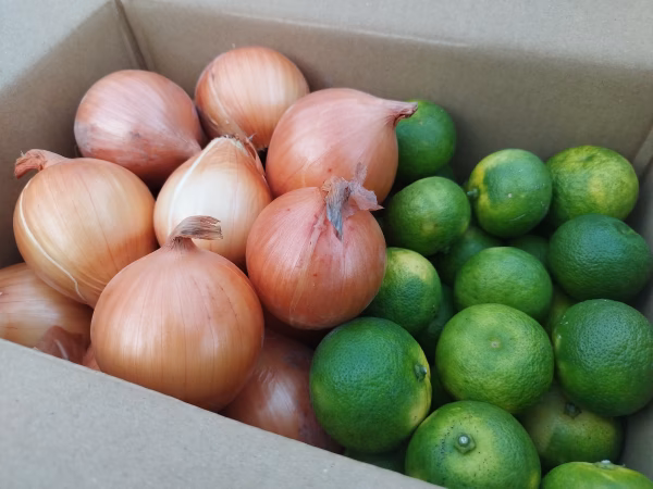 栽培中農薬不使用◯自家用◯すだちと小玉の玉ねぎのセット