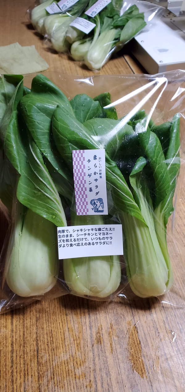 珍品。生食が美味しい。柔らかサラダチンゲン菜