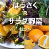 多品目栽培農園の採れたて・絶品!はっさくサラダセット
