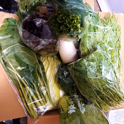 みんなの投稿の画像