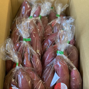 甘い  さつまいも   べにはるか♪ Sサイズ10袋入り