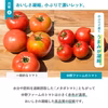 【トマトジュース専門農家】無添加トマトジュース180ml×30本