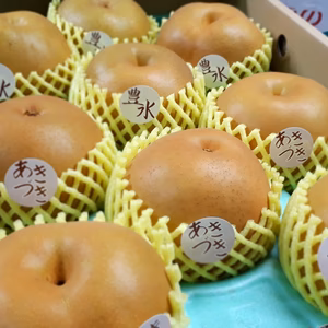 B-HA5【自家用・大玉】 豊水&あきづき 5キロ(8~10玉)