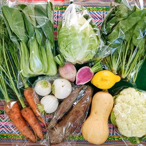 農園自慢の情熱野菜セット★定期便