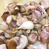 山形最上伝承野菜　最上赤にんにく　増量中☆  レターパック