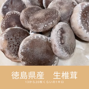 クール便発送　徳島県産　料亭、旅館同等でお客様クチコミ大賞頂いた希少生椎茸大