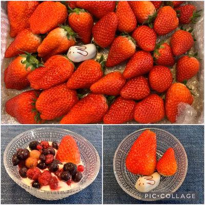 みんなの投稿の画像