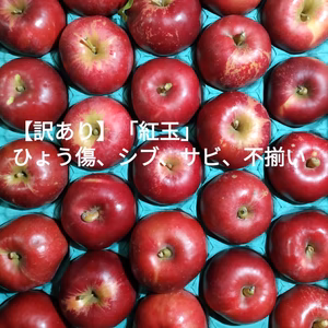 【訳アリ】青森県産りんご『紅玉』ひょうキズ、シブ、サビ、ヤケ！加工用などに！