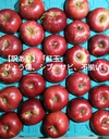 【訳アリ】青森県産りんご『紅玉』ひょうキズ、シブ、サビ、ヤケ！加工用などに！