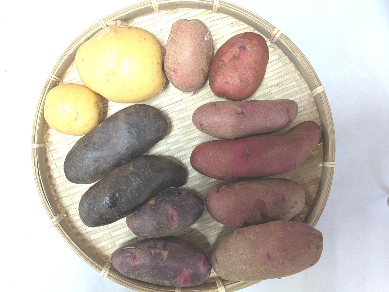 アンデスレッドの産直通販・お取り寄せ商品｜ポケットマルシェ｜産地