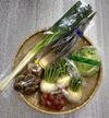 【母の日ギフト】新鮮野菜の多品目詰合せセット