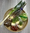 【母の日ギフト】新鮮野菜の多品目詰合せセット