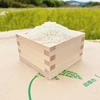 ご飯だけでお箸が進む☆つやつや ふっくら☆キヌヒカリ 20kg