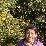 浜岡佐和子 | はまおか農園