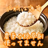 令和7年度産　栽培期間中農薬不使用　伊賀産れんげ米コシヒカリ　精米したてをお届け