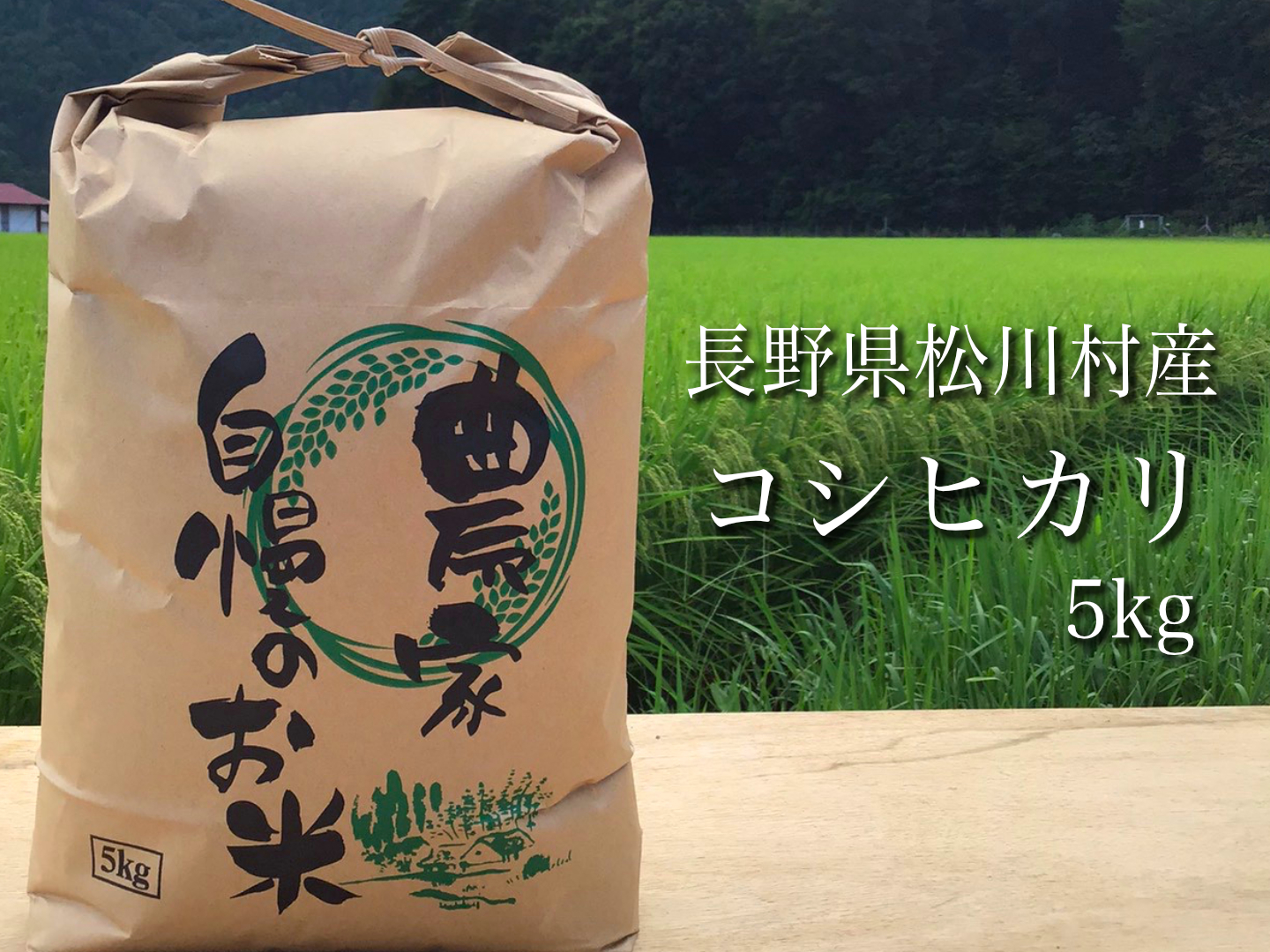 安曇野松川村産コシヒカリ10kg 【2021福袋】