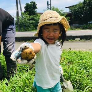 園主のわがまま有機じゃがいも詰め合わせセット