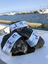 美保湾の岩牡蠣