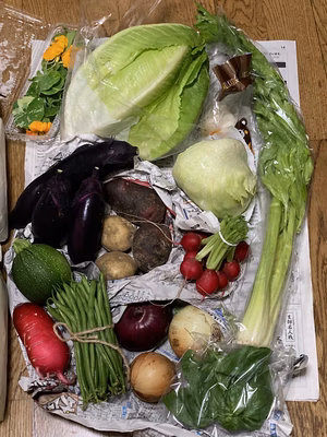 みんなの投稿の画像