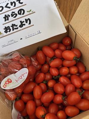 みんなの投稿の画像