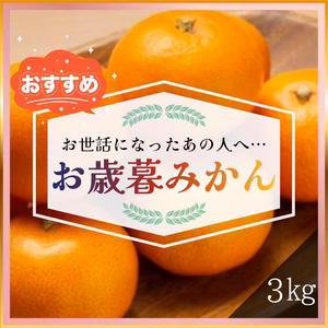 みかん 有田みかん 3kg 秀品 お歳暮 早生 減農薬 産地直送 濃厚 高糖度