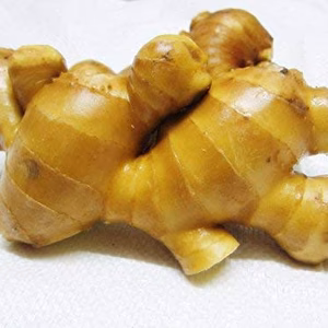 スジの少ない絶品根生姜！【1kg】四万十からジンジャーマンがお届けします！