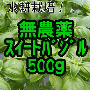 香り溢れる無農薬ｽｲｰﾄﾊﾞｼﾞﾙ500グラム