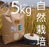 お米の旨味たっぷり自然栽培30年産「ひとめぼれ５ぶつき精米」５kg