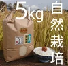 お米の旨味たっぷり自然栽培 ２年産【ひとめぼれ白米】５kg