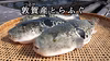 乾燥とらふぐひれ＊ご自分でお好み加減に焼くスタイル＊