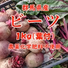【群馬県産】ビーツ 1kg(葉付)【農薬化学肥料不使用】