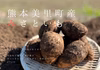 【ホッコリする甘味】農薬不使用！　熊本県産　みさといも　里芋