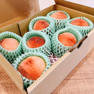 栃木県産 桃 品種おまかせお試しセット