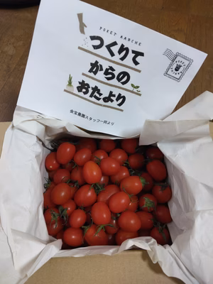 みんなの投稿の画像