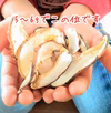 【お試しに♪】原木育ちのスライスしいたけ（クリックポスト便）