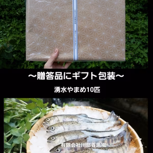 【贈答品用】阿蘇から届くKAWABEのまぼろしの魚～老舗旅館お墨付き～（10匹）