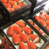 冬ならではの甘ーい大粒いちごをかぶりつこう！（紅ほっぺ）