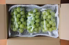 【500円引き】シャインマスカット 家庭用・約2kg／出店記念の特別価格！