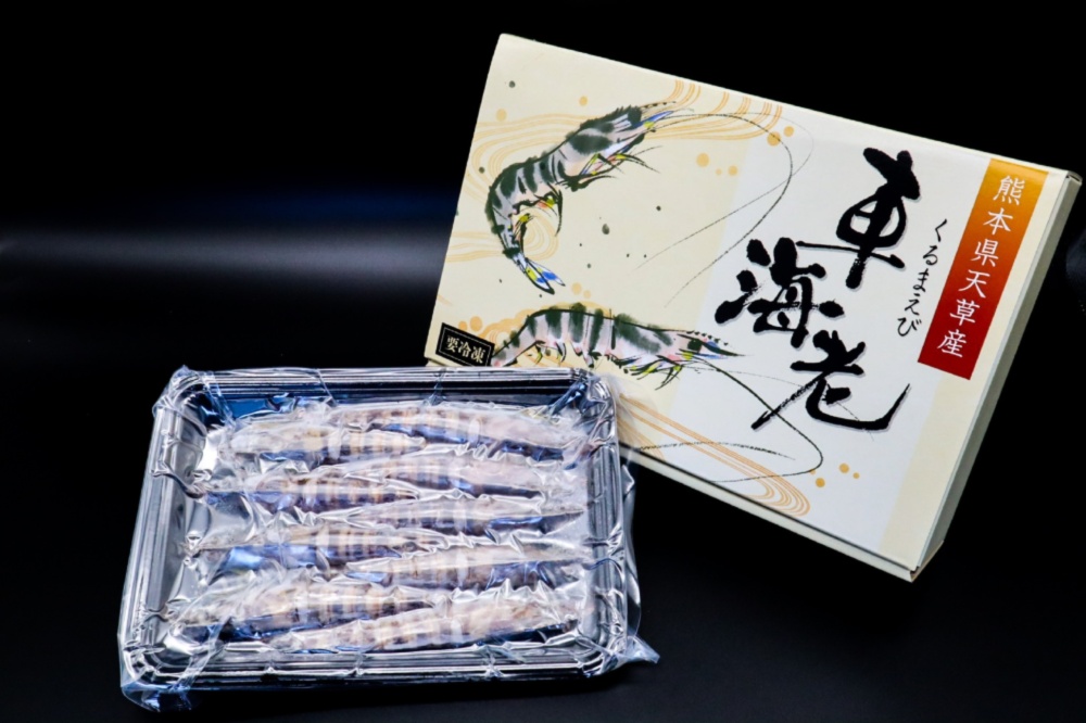 活きの鮮度をそのまま 新鮮 活き〆瞬間急速冷凍 車海老 農家漁師から産地直送の通販 ポケットマルシェ