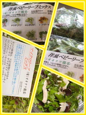 みんなの投稿の画像