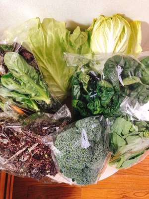 みんなの投稿の画像