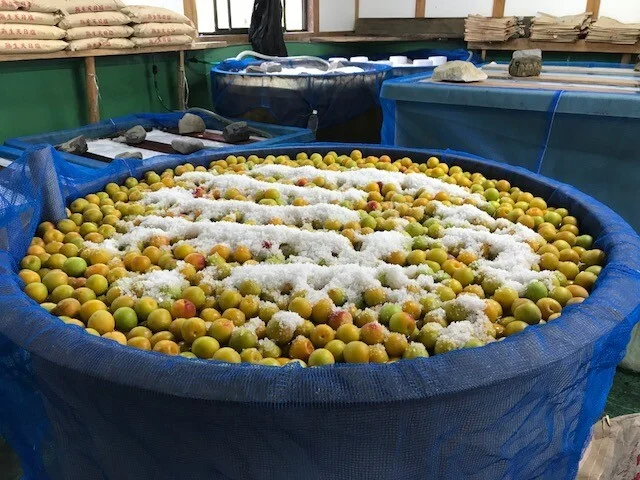 塩分控えめ！はちみつリンゴ酢梅１ｋg   ３個　塩分6%