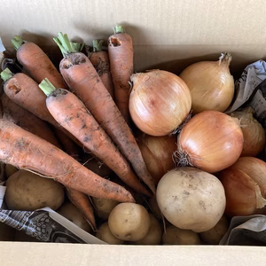 規格外野菜のカレーセット【にんじん玉ねぎじゃがいも】