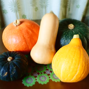 【京野菜】カラフル南瓜セット【５種７キロ】限定１０組